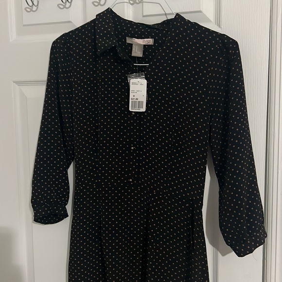 Forever 21 dress polka dots black and tan. forever 21 short dress top new cute - Picture 11 of 17